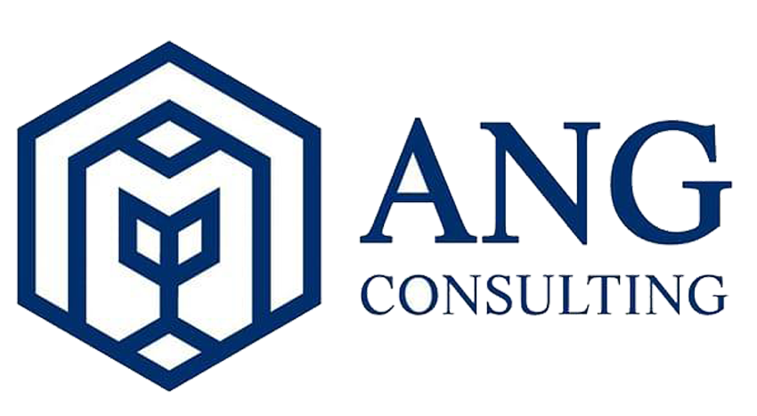 ANG Consulting